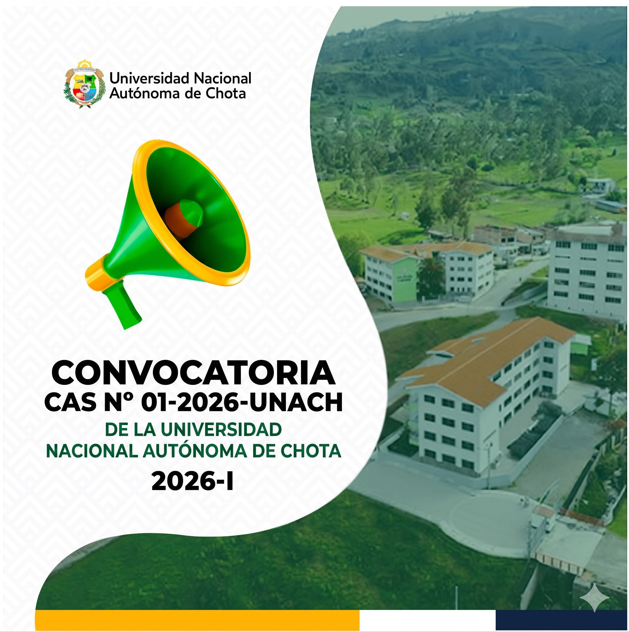 Convocatoria CAS Nº 01-2026-UNACH