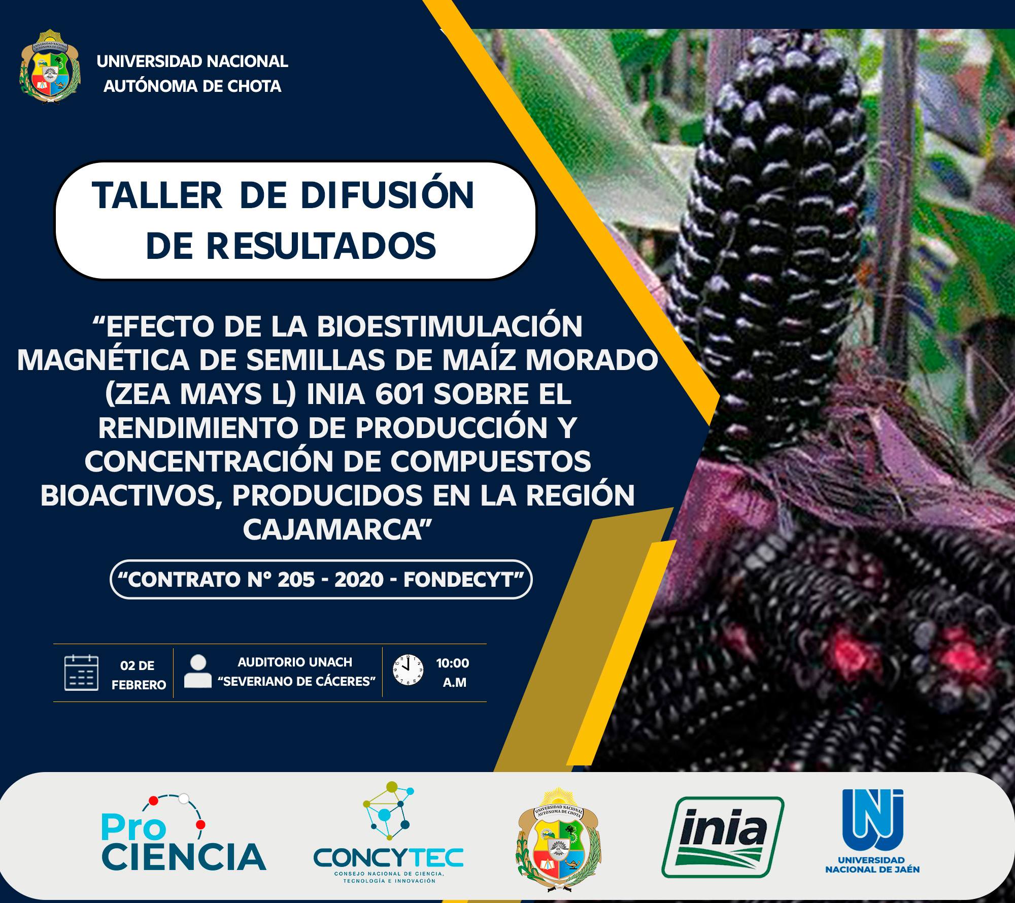 TALLER DE DIFUSIÓN DE RESULTADOS DE PROYECTO DE INVESTIGACIÓN